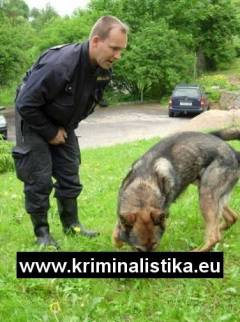 Služební pes při vyhledávání nábojnic