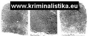 Ukázka různých obrazců papilárních linií