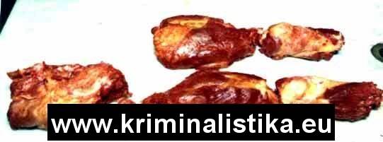 Fotografie lidských tkání