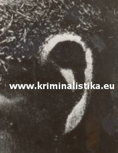 Otisk boltce ucha Jana Holuba