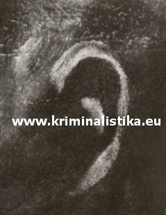 Otisk boltce ucha zajištěný na rámu dveří