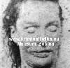 Elizabeth Strideová