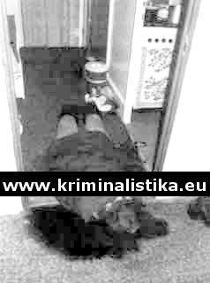 Zavražděná Jindřiška Toová