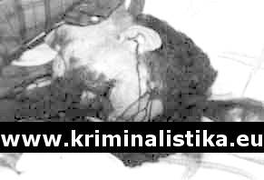 Zavražděný Jan Hejduk