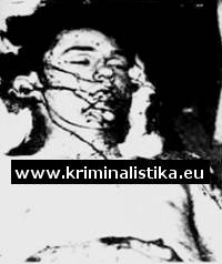 Barow na pitevně